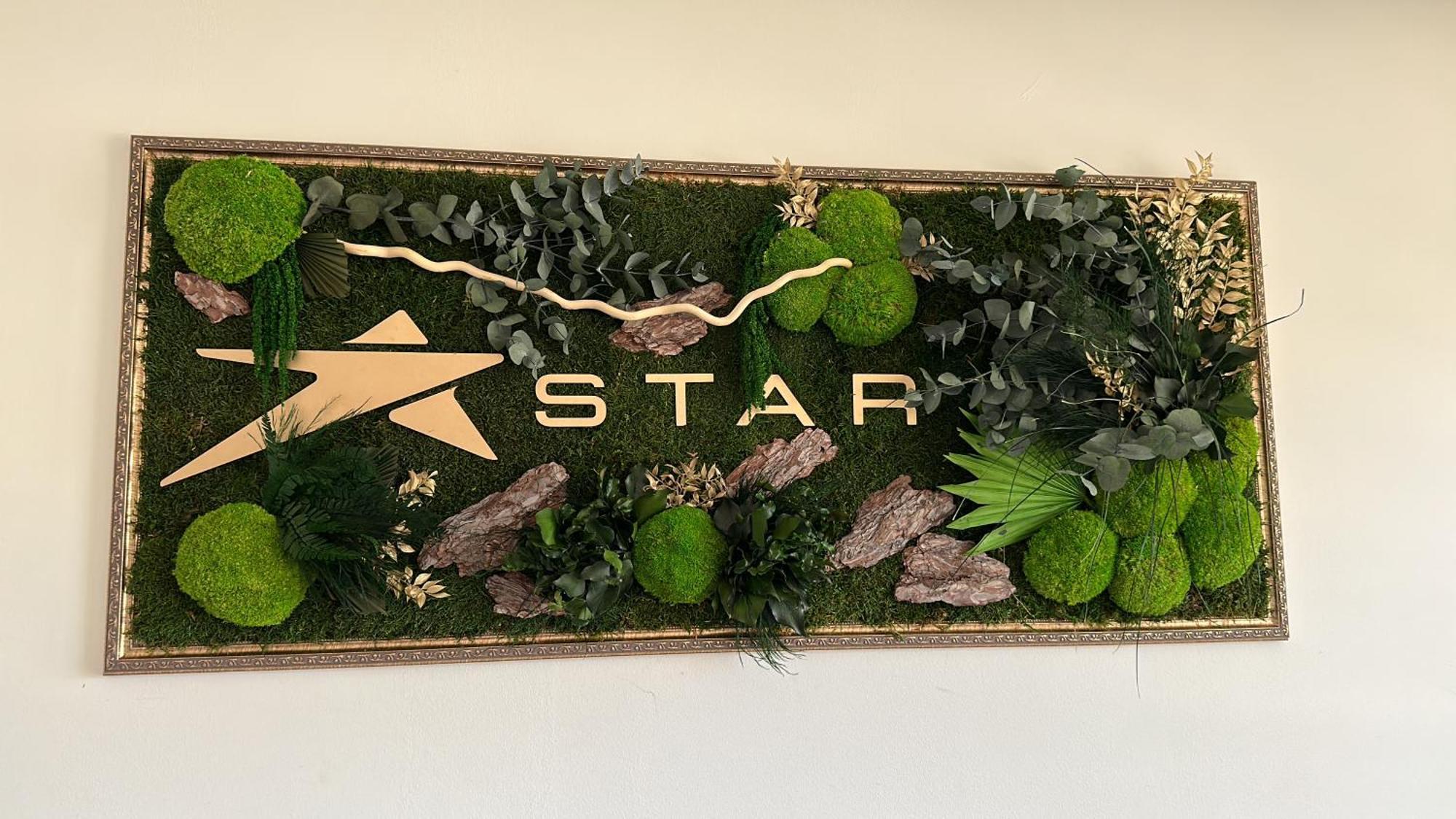 Star Hotel Tulcea Exterior foto